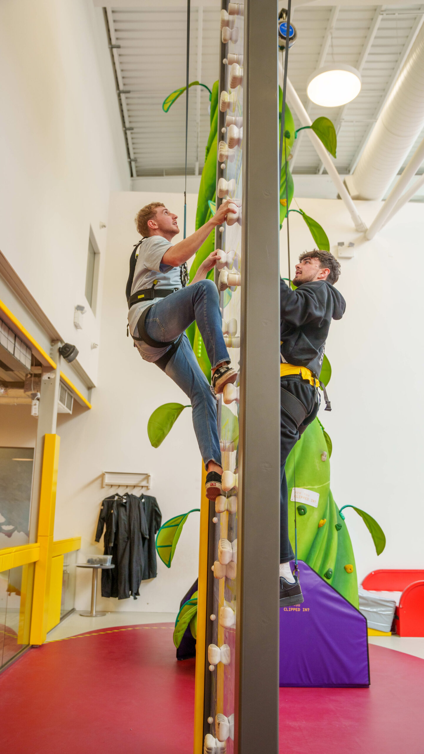 Two people climbing an indoor beanstalk wall for adventure activity in bright, modern space.