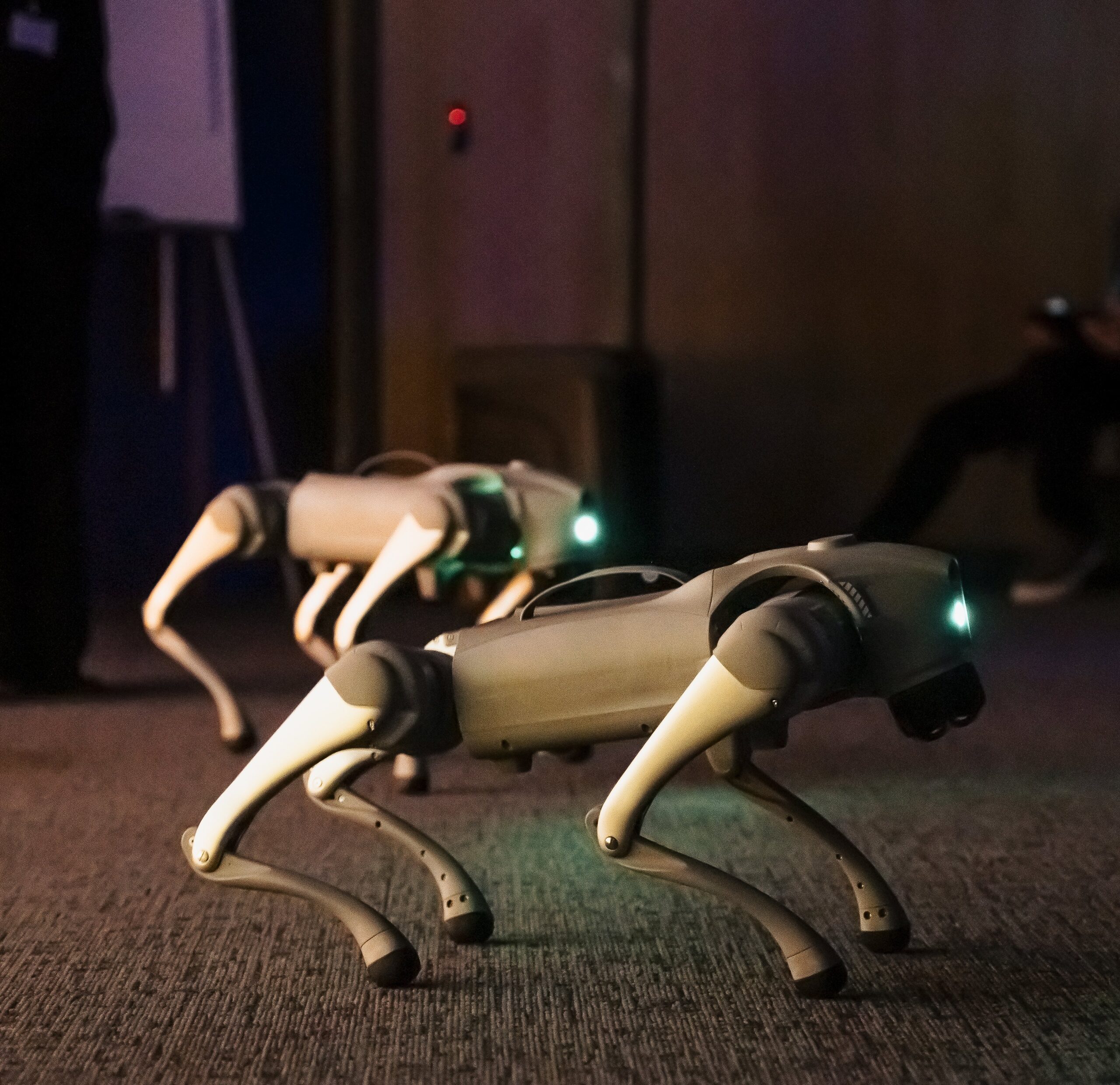 Explorium_AfterDark_EditedPhotos36